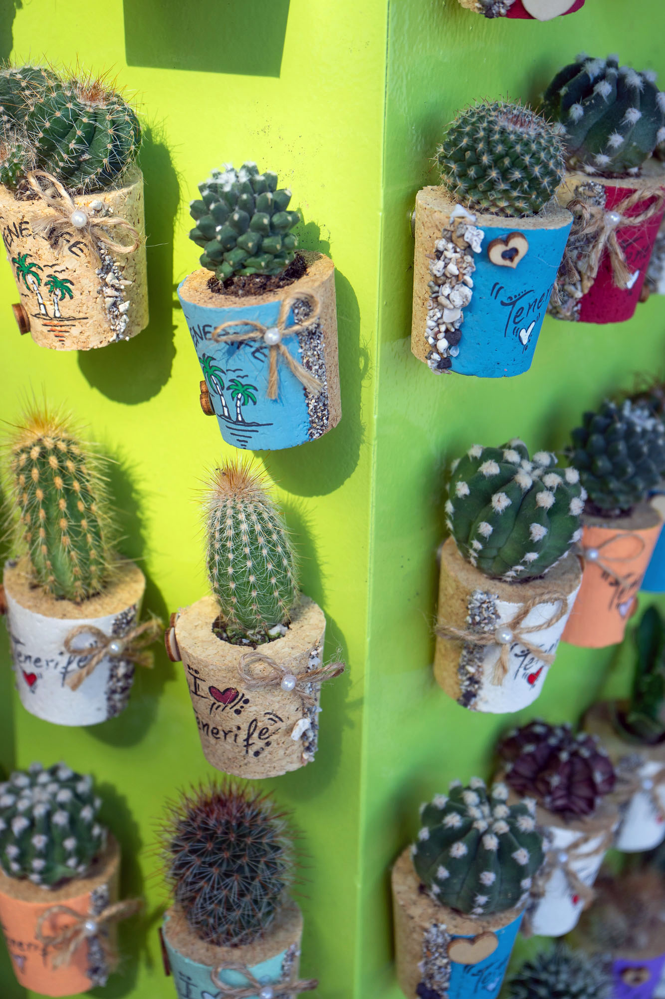 Kaktus Souvenirs Teneriffa